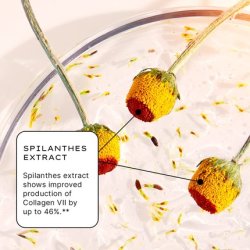 Jurlique Nutri-Define Supreme Rejuvenating Anti-Aging Serum for Face