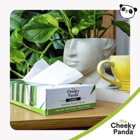 The Naughty Panda 100 Percent Bamboo Facial Tissue Flat Box, 80 Pieces Of Tissue