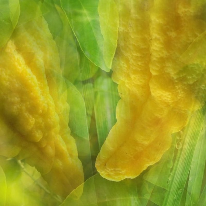 V Dr Vranjes Ricarica Ambient Diffuser 500ml