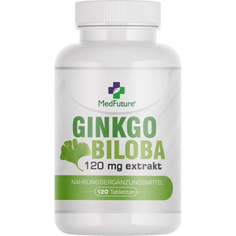 Ginkgo Biloba Extract 120mg 120 Tablets for Memory and Concentration