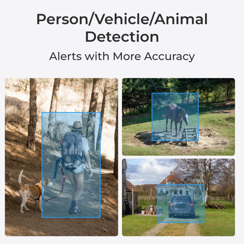 Reolink Go Series G450 Solar Panel 2 Dôme Caméra de sécurité IP Extérieure 3840 x 2160 pixels Plafond/mur