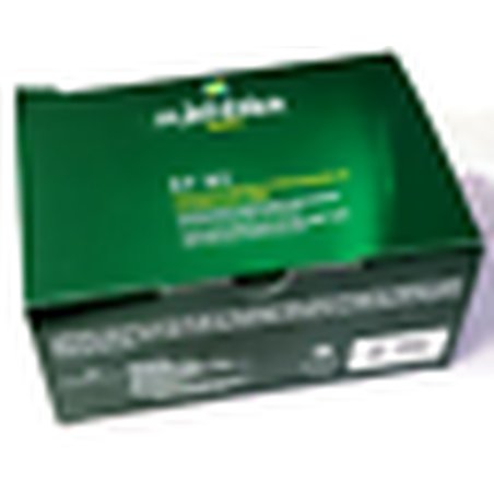 Rene Furterer RF 80 Hair Loss Treatment 12 Ampoules x 5ml