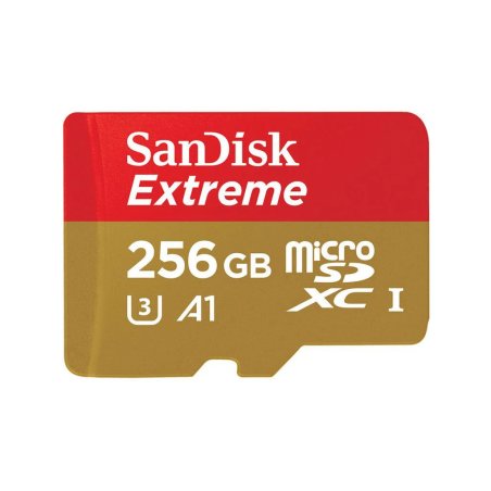 REALWEAR Micro SD Card 256Go SanDisk