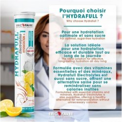 Eric Favre Hydrafull Electrolytes 12 Count