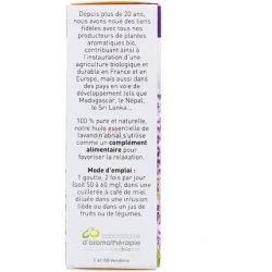 Abrial Lavender Lavandula Hybrida Abrialis