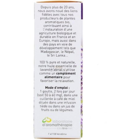 Abrial Lavender Lavandula Hybrida Abrialis