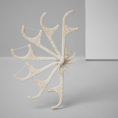 Neopulse Neopick Floss with Handle Removes Plaque