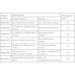 ALLEVYN LIFE 10.3cm x 10.3cm 10 Pack