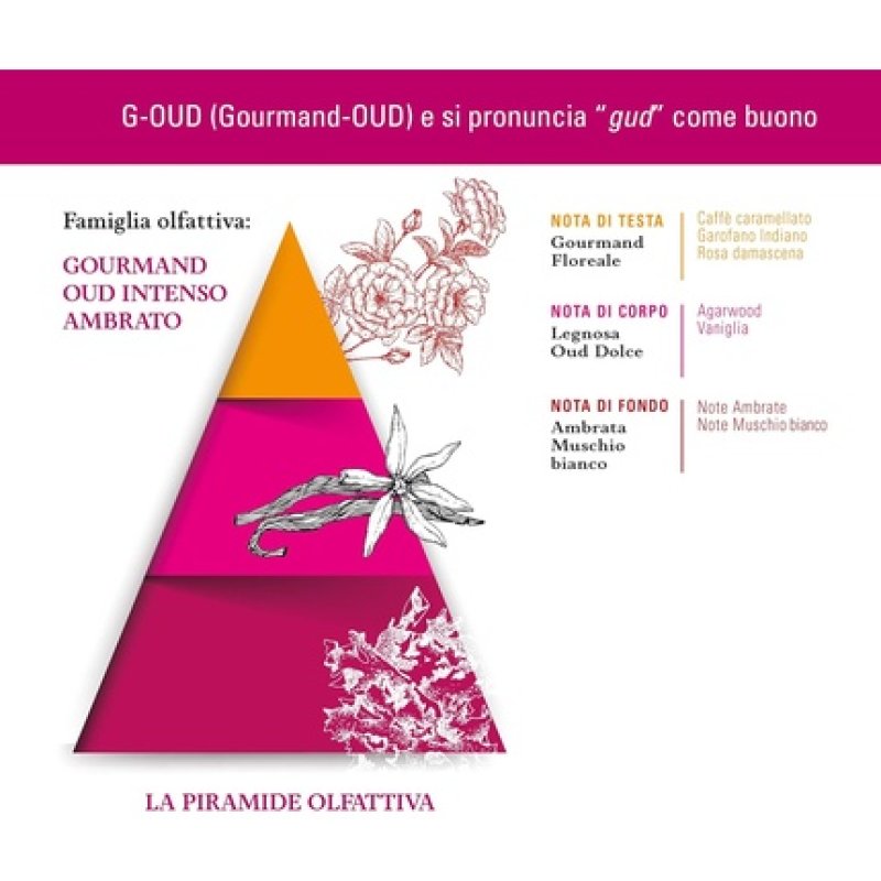 Helan G Oud Perfume for Women with Coffee and Caramel Notes