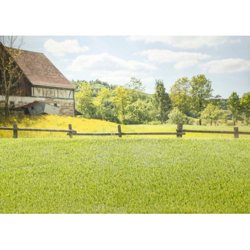 BABY born My Cute Horse Poupée animal