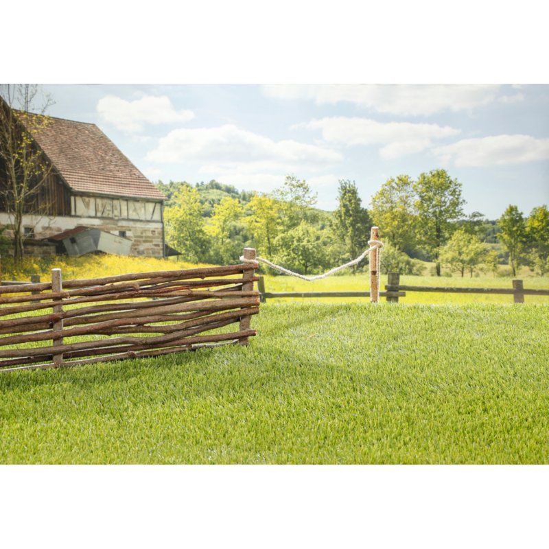 BABY born My Cute Horse Doll animal