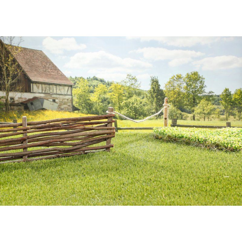 BABY born My Cute Horse Poupée animal