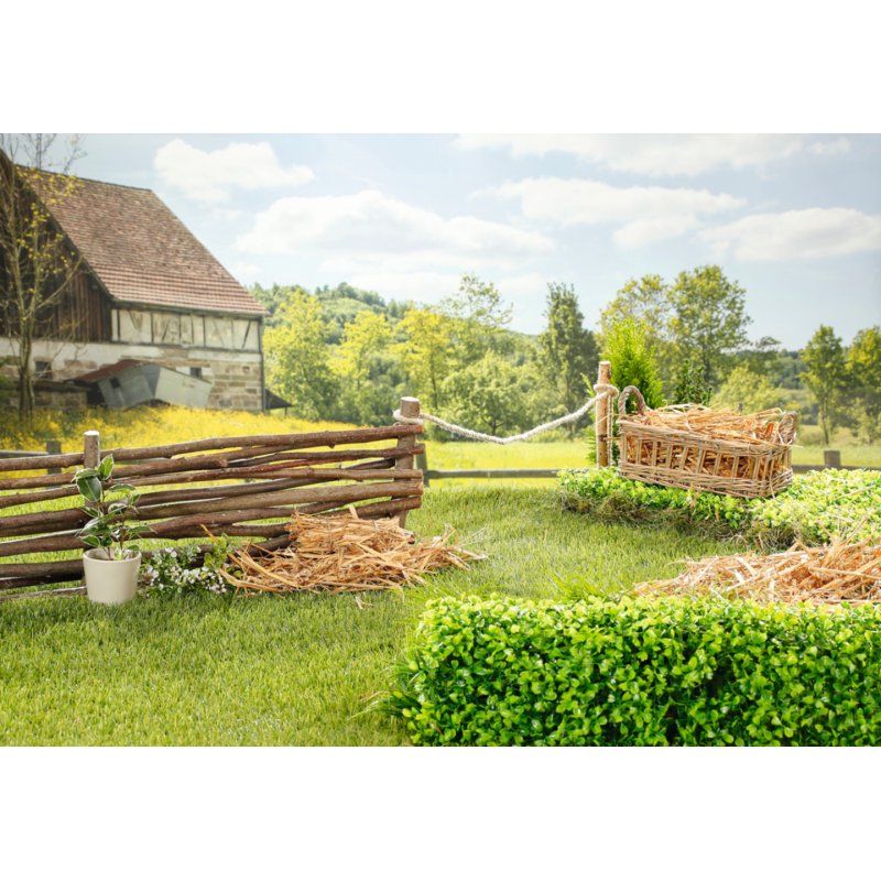 BABY born My Cute Horse Poupée animal