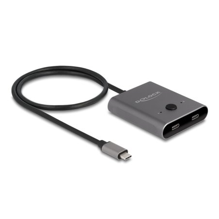 DeLOCK 11500 interface hub USB 3.2 Gen 2 (3.1 Gen 2) Type-C 10000 Mbit/s Grey