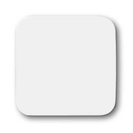 Busch-Jaeger 2506-214 accessoire de commutation électrique