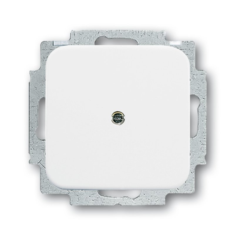 Busch-Jaeger 2538-214 Blanc