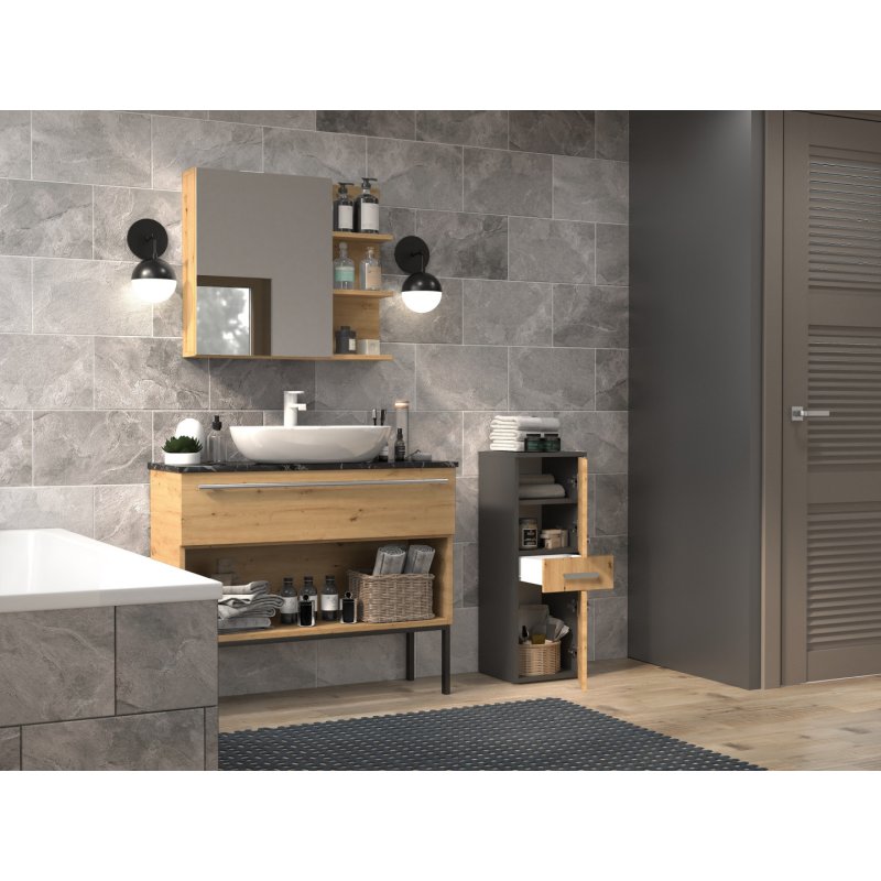 Topeshop NEL V DDS ANT/ART armoire de rangement de salle de bain Graphite, Chêne