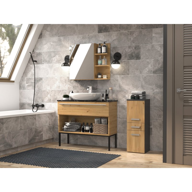 Topeshop NEL V DDS ANT/ART armoire de rangement de salle de bain Graphite, Chêne