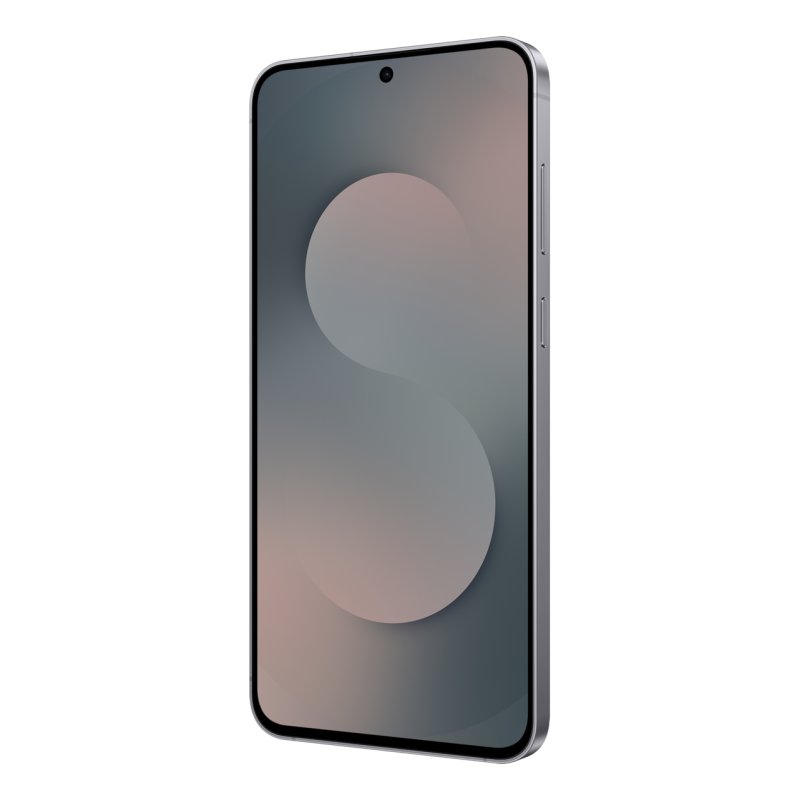 Samsung Galaxy S25 FE SM-S731B/DS 17 cm (6.7") Double SIM Android 16.0 5G USB Type-C 8 Go 256 Go 4900 mAh Noir