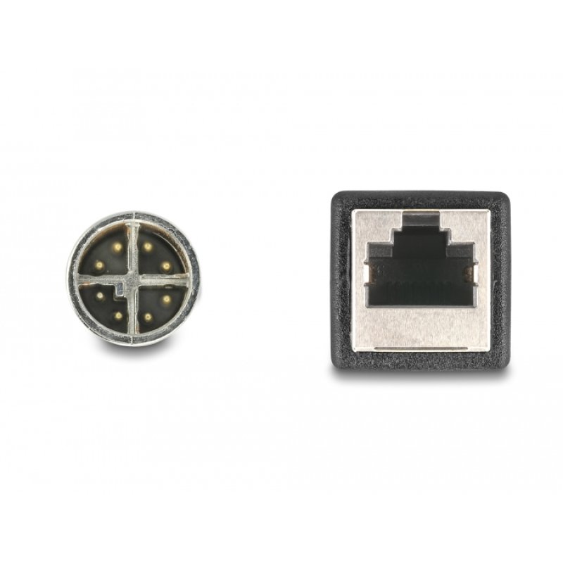 DeLock M12 Adapterkabel X-kodiert 8 Pin Stecker zu RJ45 Buchse 50 cm