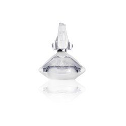 Salvador Dali Dali 100 ml Femmes