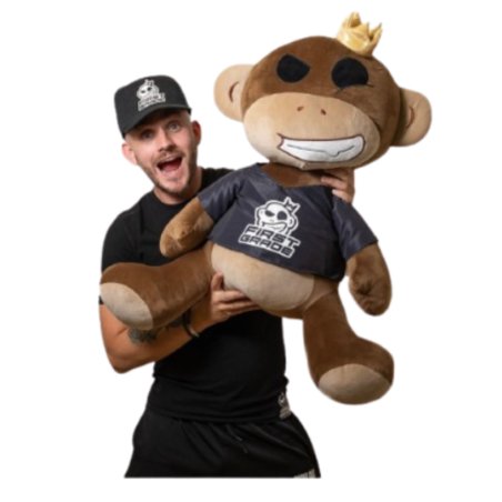 FIRSTGRADE - Monkey 60 cm (24-FG-SQUISH-60)