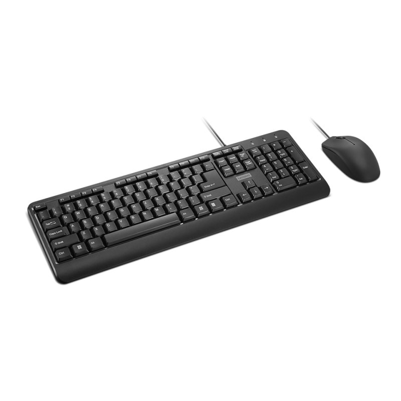 Lenovo 160 clavier Souris incluse maison/bureau USB Anglais américain Noir