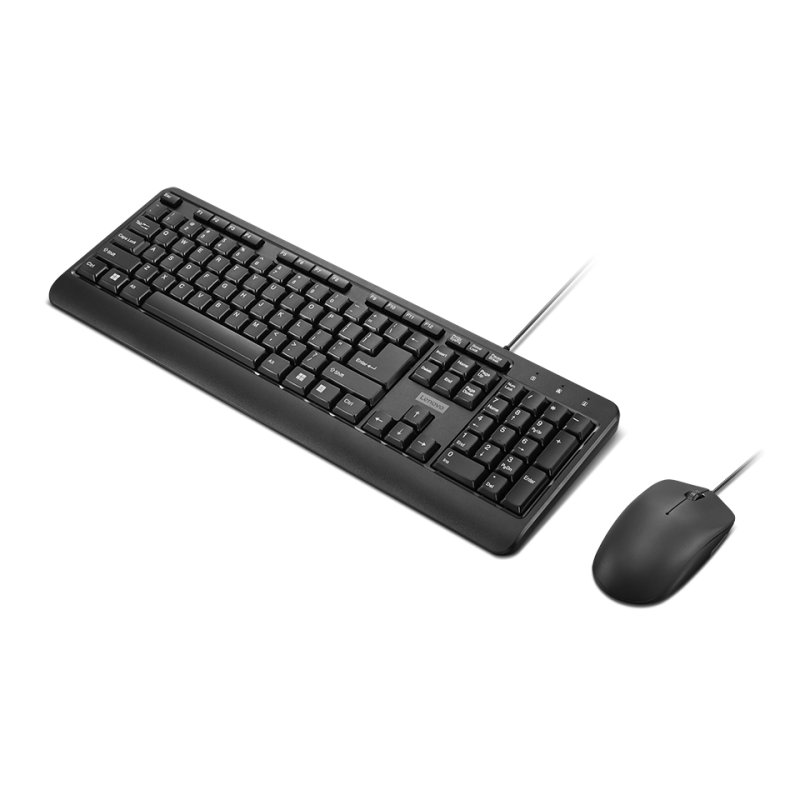 Lenovo 160 clavier Souris incluse maison/bureau USB Anglais américain Noir