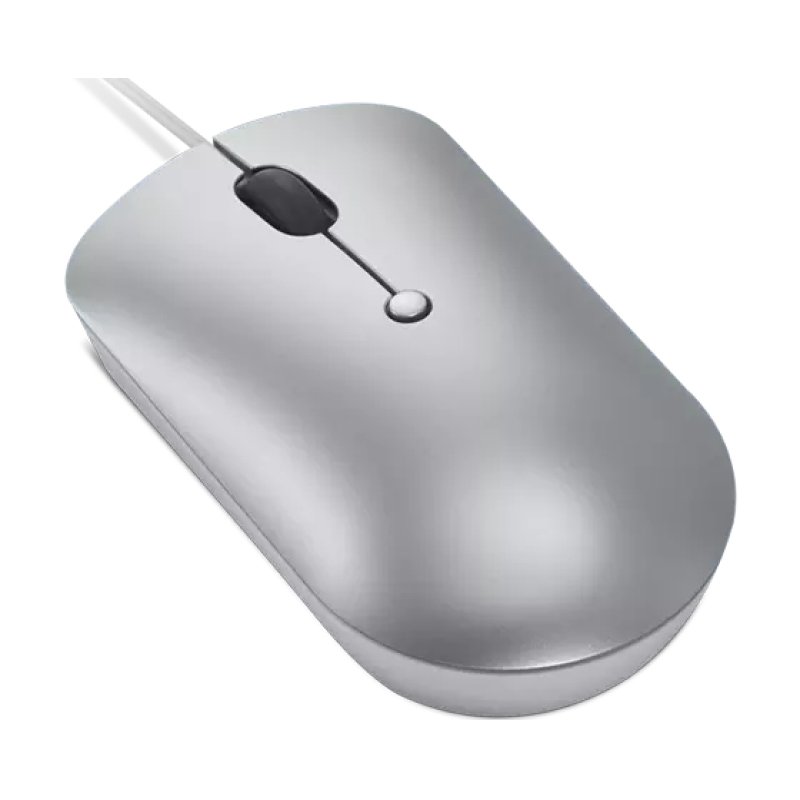 Lenovo 540 mouse Office Ambidextrous USB Type-C Optical