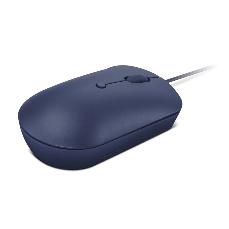 STOCKINK1 - Lenovo GY51D20878 souris Ambidextre USB Type-C Optique 2400 DPI