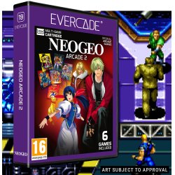 Blaze Entertainment Evercade - NEOGEO Arcade 2