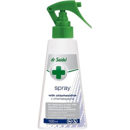 DR SEIDEL Chlorhexidine Spray Against Bacteria 100ml - Skin Irritation Free, Free of Color and Fragrance