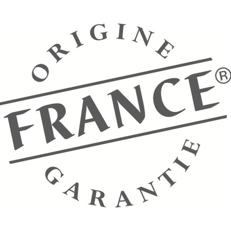 Four Multifonction Plus - 73 L - A - 13 positions de cuisson - 6 recet *