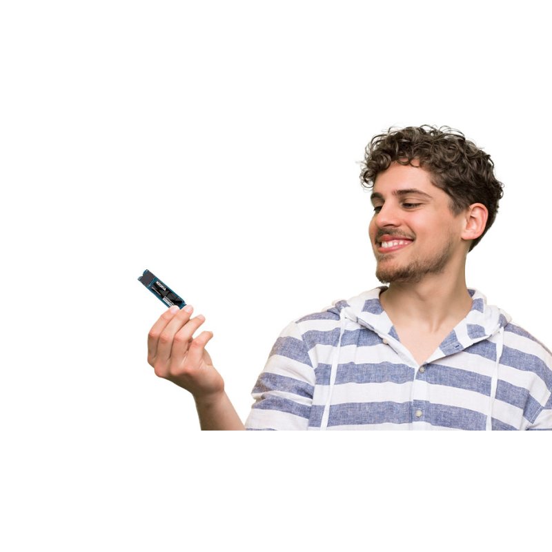 Exceria Basic 2 TB (PCIe 4.0 x4, M.2 2280)