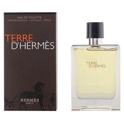 Hermes Terre D'Hermes Perfume 100 Ml
