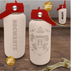 HARRY POTTER - Poudlard - Bouteille d'eau en Verre avec Silicone 800ml