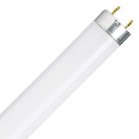 Osram Relax Warmwhite fluorescent bulb 8 W G5