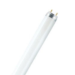 Osram Lumilux T5 Short ampoule fluorescente 8 W G5 Blanc froid