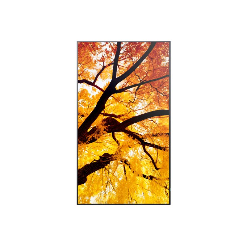 Sharp MultiSync M432 Digital signage flat panel 108 cm (42.5") LCD 550 cd/m² 4K Ultra HD Black