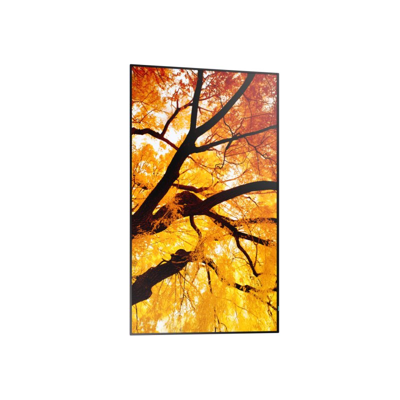 Sharp MultiSync M432 Digital signage flat panel 108 cm (42.5") LCD 550 cd/m² 4K Ultra HD Black