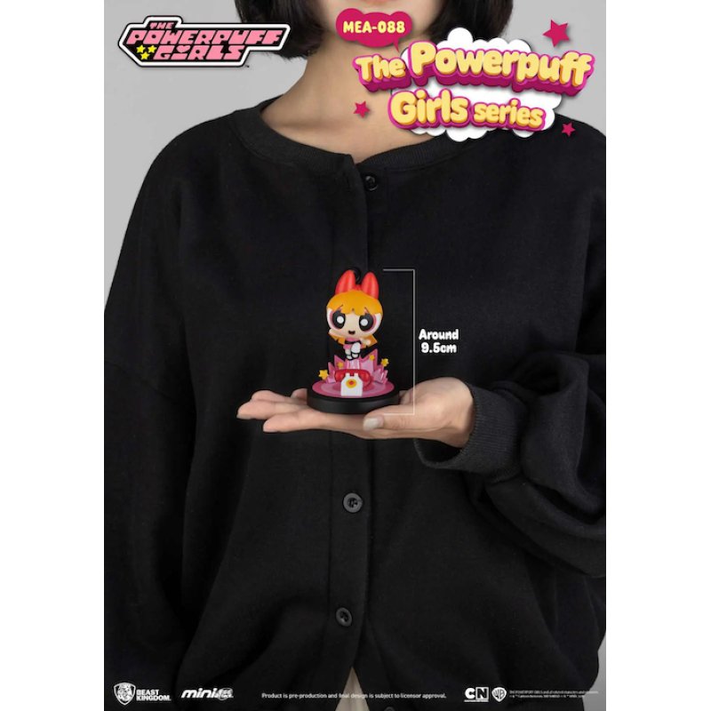 LES SUPER NANAS - Blind Box Set 6 Figurine 9cm