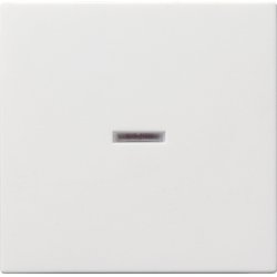 GIRA 029003 Wippe Kontroll reinweiß System 55