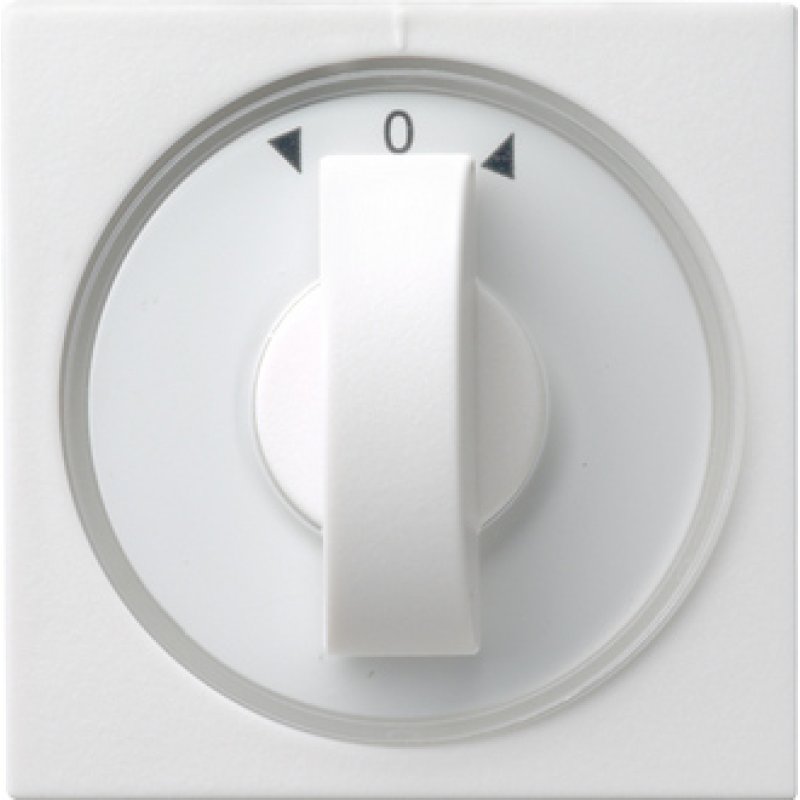 GIRA 066603 wall plate/switch cover White