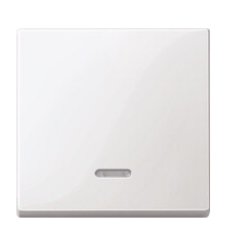 Merten 431019 light switch White