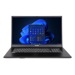 TERRA MOBILE 1716R Intel Core™ i5 i5-1334U Laptop 43.9 cm (17.3") Full HD 16 GB DDR4-SDRAM 500 GB SSD Wi-Fi 6