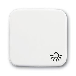 Busch-Jaeger 2520 LI-214 White