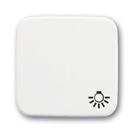 Busch-Jaeger 2520 LI-214 White