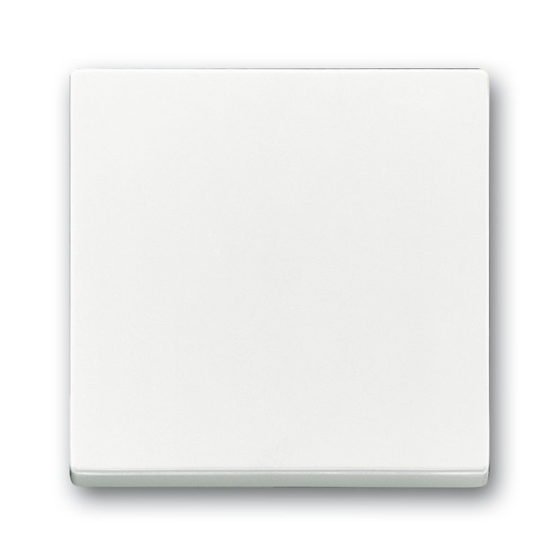 Busch-Jaeger 1751-0-2749 housse anti-poussière Blanc