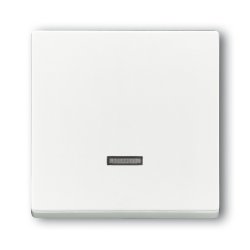 BUSCH JAEGER BJ 6543-84-101 Bedienelement f.Busch- Memory-Taststeuergerät Dimmerstudioweiß