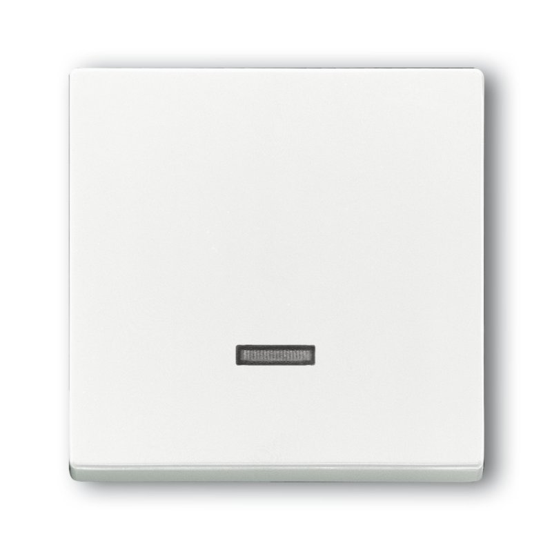 Busch-Jaeger 6543-84-101 White